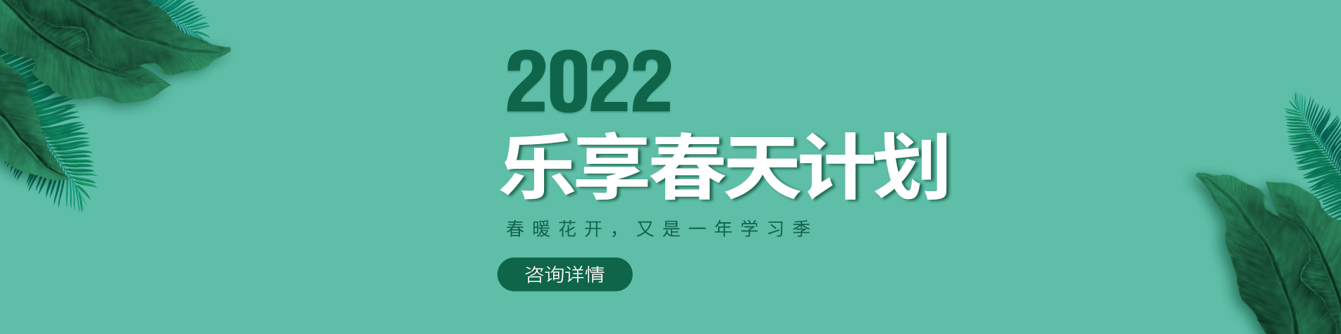 鸡巴操进骚逼视频