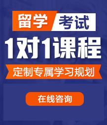 一线天白虎自慰出水留学考试一对一精品课